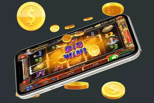 335bet